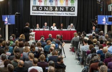 Monsanto, reconnu coupable de violations de droits humains et d'écocide par un tribunal citoyen