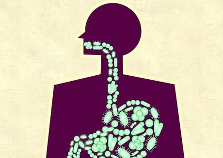 MICROBIOTE : Un régime riche en graisse agresse dès l'oesophage – Scientific Reports