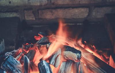 Le charbon de bois : le lien entre barbecue et déforestation