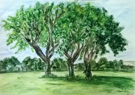 Clef des champs Clef des champs