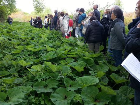 Ballade culinaire Ballade culinaire
