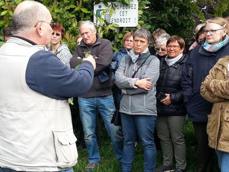 Ballade culinaire Ballade culinaire
