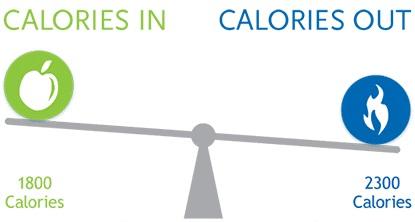 balance calorique