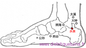 Le point Shui Quan du méridien des reins (5R)