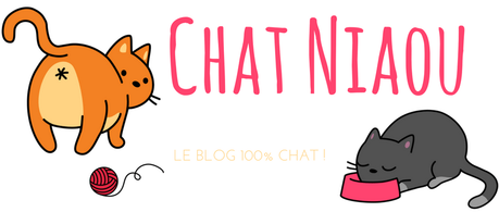 chat niaou blog 100% chat