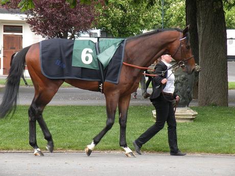 Maisons-Laffitte 18.04.17