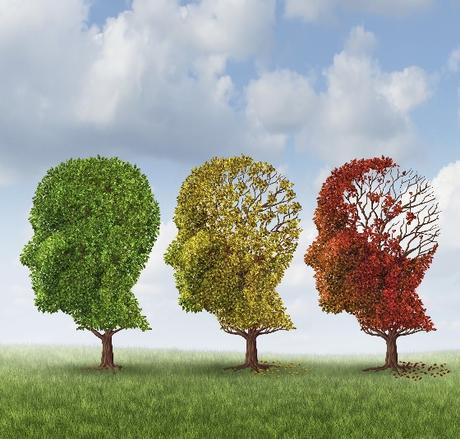 LONGÉVITÉ : L'âge neurologique prédit l'espérance de vie – Molecular Psychiatry