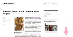 Inscrivez-vous à ma Newsletter ! newletter cocon ambulant