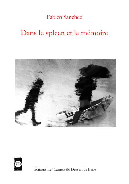 Fabien SANCHEZ : « Dans le spleen et la mémoire » extraits