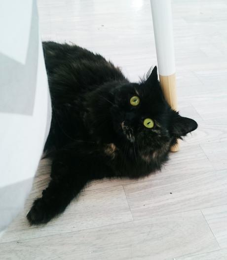 Petite Fluffy Petite Fluffy