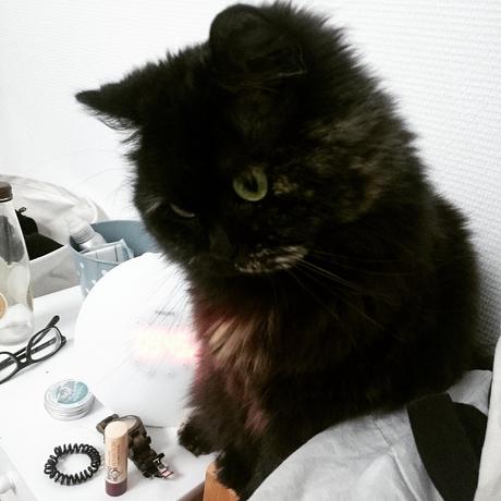 Petite Fluffy Petite Fluffy