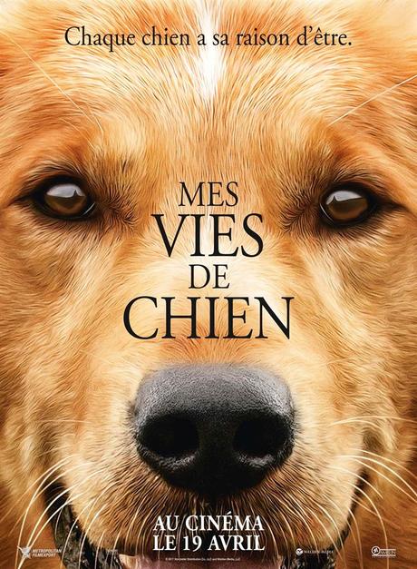 [Cinéma] Mes Vies de Chien : Le but de la vie d’un chien !