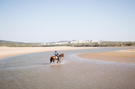 Voyage \ Essaouira (#2) – la cité des Alizés Voyage \ Essaouira (#2) – la cité des Alizés