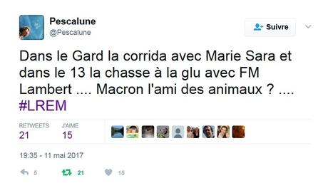 La corrida, cette pratique d'un autre âge La corrida, cette pratique d'un autre âge