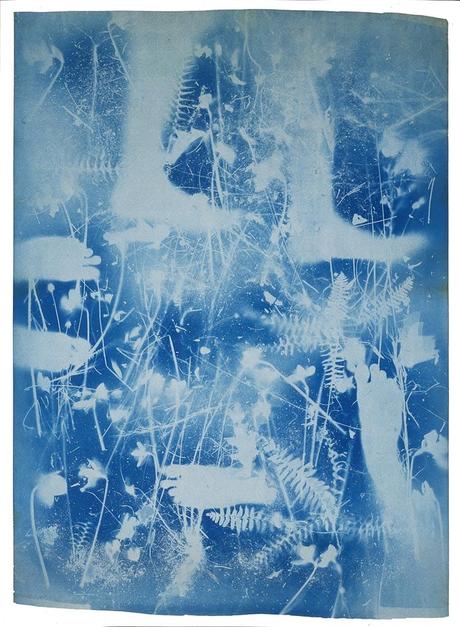 Robert Rauschenberg, vaporous fantasies rauschenberg, robert rauschenberg, life magazine, suzan weil, neo-dada, pop art, modern art, vaporous fantasies, artiste peintre, art