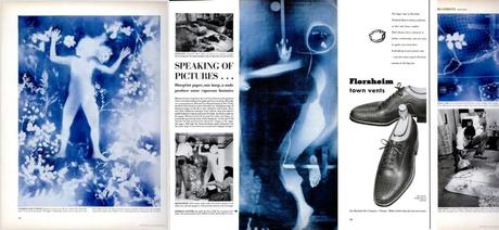 Robert Rauschenberg, vaporous fantasies Rauschenberg, life magazine, vaporous fantasies, blueprint, photogram, painter, pop art, neo-dada