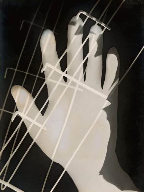 Robert Rauschenberg, vaporous fantasies Photogram, photography, bahaus, László Moholy-Nagy