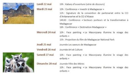 « Des lémuriens au pays des cigognes » Une semaine malgache au coeur de Strasbourg !