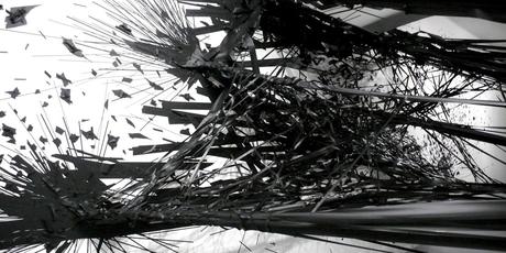 Monika Grzymala déssiner en trois dimensions Monika Grzymala, Raumzeichnung, Solitär, art, art contemporain, installation, exposition, sculpture