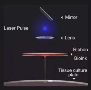 Schéma de la Bio-Impression par Laser Schéma de la Bio-Impression par Laser