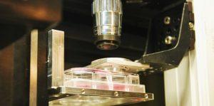 La Bio-Impression par Laser La Bio-Impression par Laser