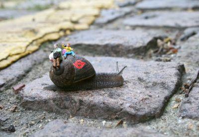 Little peope snail_bus_1_-_blog.jpg
