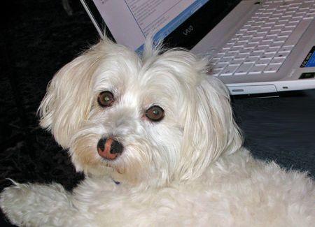 Je vis avec une star MIRABELLE