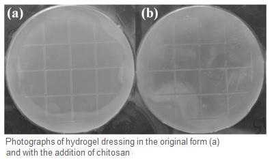 PLAIES CHRONIQUES : Un hydrogel au chitosane, pour une cicatrisation humide et antibactérienne – Radiation Physics and Chemistry