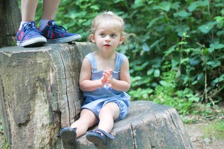 Promenons nous dans les bois...