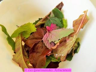 Salade printanière colorée (Vegan)
