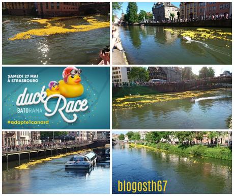Duck Race – Strasbourg