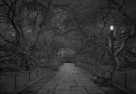 Insomniaque, il photographie Central Park seul dans la nuit