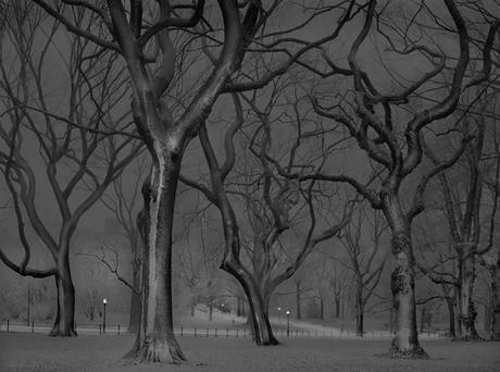 Insomniaque, il photographie Central Park seul dans la nuit
