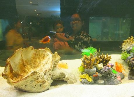 3 juin 2017 : Mélanie à l’aquarium de Nong Khai
