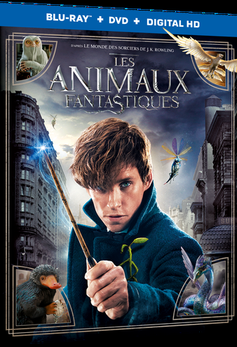 Les Animaux Fantastiques  [Combo Blu-ray + DVD]
