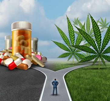 STRESS : Du cannabis, peut-être, oui mais pas trop  – Drug and Alcohol Dependence
