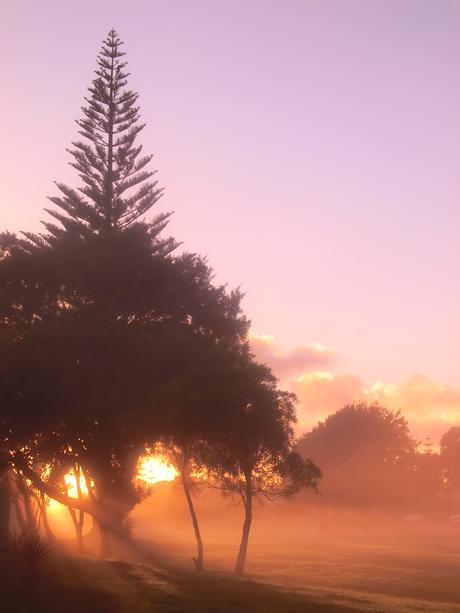 né dehors né dehors