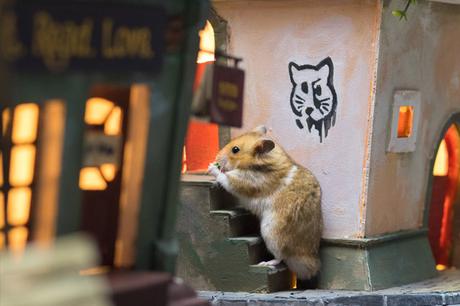 Ils construisent une ville entière miniature pour des Hamsters