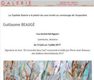 Galerie La Capitale –  exposition  Guillaume BEAUGE « Le torrent fait figure »  13 Juin au 1er Juillet 2017