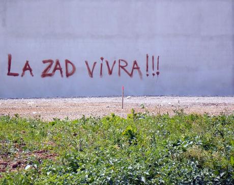 ZAD is the question