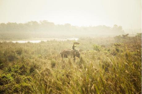 Parc national de Chitwan