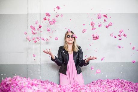 Rose de Mai Rose de Mai