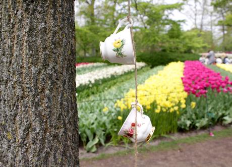 Les tulipes de Keukenof