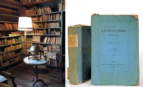 Belgique : il découvre une bibliothèque vieille de 200 ans parfaitement conservée
