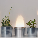 DESIGN : Designer Chen Bikovski Creates Cactus Lamp