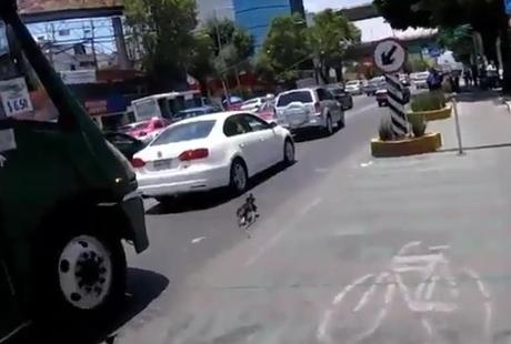 Son chien s'échappe dans une grand rue de Mexico