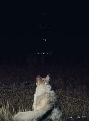 [CRITIQUE] It comes at night