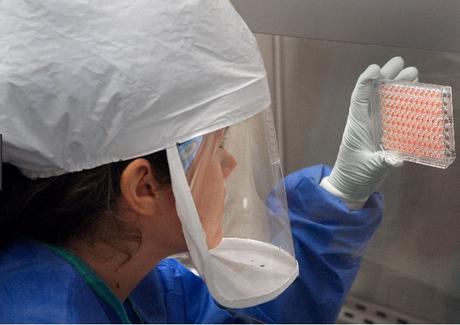 GRIPPE AVIAIRE : La prochaine pandémie est-elle à 3 mutations près ? – PLoS Pathogens