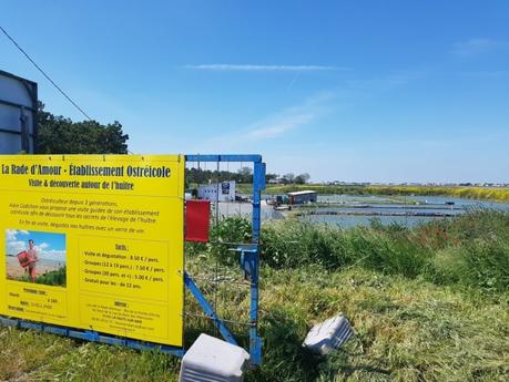 Que faire en Vendée : les Viviers d'Arcay Que faire en Vendée : les Viviers d'Arcay