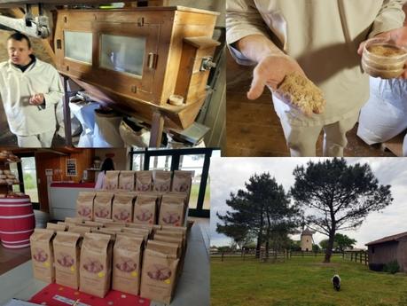 Que faire en Vendée : le Moulin des Gourmands Que faire en Vendée : le Moulin des Gourmands